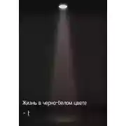 Постер книги Жизнь в черно-белом цвете