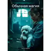 Постер книги Обычная магия