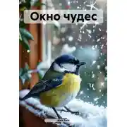 Постер книги Окно чудес