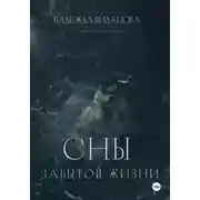 Постер книги Сны забытой жизни