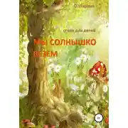 Постер книги МЫ СОЛНЫШКО ВЕЗЁМ. Стихи для детей
