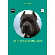 Постер книги Ангел с янтарными глазами