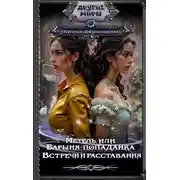 Постер книги Метель, или Барыня-попаданка. Встречи и расставания