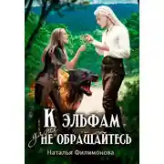 Постер книги К эльфам даже не обращайтесь!