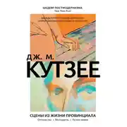 Постер книги Сцены из жизни провинциала: Отрочество. Молодость. Летнее время