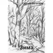 Постер книги Зима