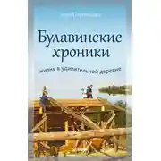 Постер книги Булавинские хроники. Жизнь в удивительной деревне