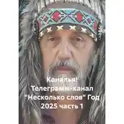 Постер книги Каналья! Телеграмм-канал «Несколько слов» Год 2025 часть 1