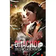 Постер книги Опасное положение