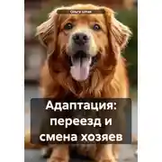 Постер книги Адаптация: переезд и смена хозяев