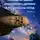 Ева Султан - Легенда об одном королевстве, драконе и пророчестве звёзд. Часть 1