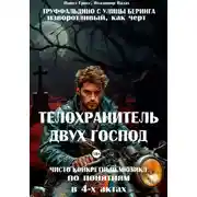 Постер книги Телохранитель двух господ (Труффальдино с улицы Беринга)