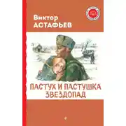 Постер книги Пастух и пастушка. Звездопад