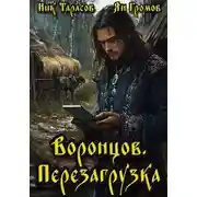 Постер книги Воронцов. Перезагрузка