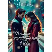 Постер книги В самую холодную ночь в году