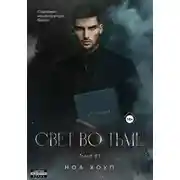 Постер книги Свет во тьме