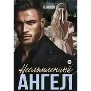 Постер книги Несломленный ангел