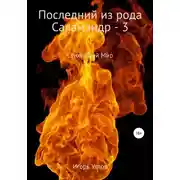 Постер книги Последний из рода Саламандр – 3. Демоны и эльфы