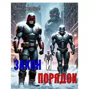 Постер книги Закон и Порядок