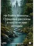 Надежда Бесоф Кочетова - Не бойся темноты… Страшные рассказы и мистические истории