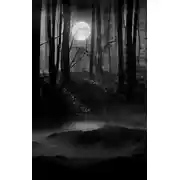 Постер книги Темный гость