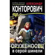 Постер книги Оруженосец в серой шинели