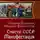 Михаил Королюк - Спасти СССР. Манифестация