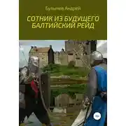 Постер книги Балтийский рейд