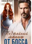 Елена Верная - (не) тайный малыш от босса