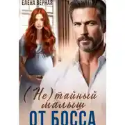 Постер книги (не) тайный малыш от босса