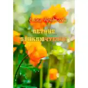 Постер книги Летние приключтения