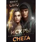 Постер книги Искры снега