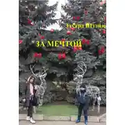 Постер книги За мечтой
