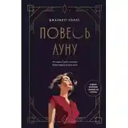 Постер книги Повесь луну. История Салли, которая берет судьбу в свои руки