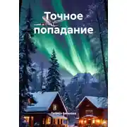 Постер книги Точное попадание