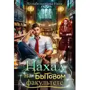 Постер книги Нахал на бытовом факультете