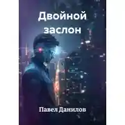 Постер книги Двойной заслон