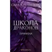 Постер книги Принятая