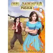 Постер книги (Не) зажигай меня