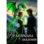 Постер книги Нехорошая академия