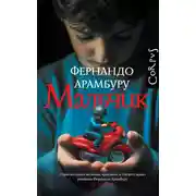 Постер книги Мальчик