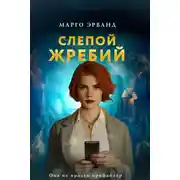 Постер книги Слепой жребий