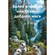 Постер книги Белое и черное, или Сказки доброго мага