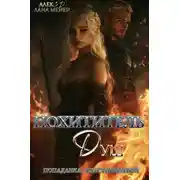 Постер книги Похититель душ