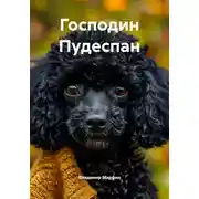 Постер книги Господин Пудеспан