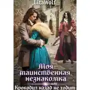 Постер книги Моя таинственная незнакомка, или Крокодил назад не ходит