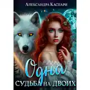 Постер книги Одна судьба на двоих