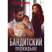 Постер книги Бандитский подкидыш