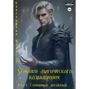 Постер книги Хроники магического возвышения. Том 1. Стихийный звездопад