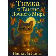 Постер книги Тимка и тайны ночного мира